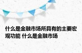 什么是金融市场所具有的主要宏观功能 什么是金融市场