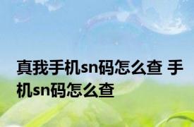 真我手机sn码怎么查 手机sn码怎么查