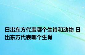 日出东方代表哪个生肖和动物 日出东方代表哪个生肖