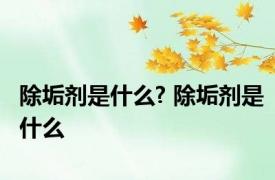 除垢剂是什么? 除垢剂是什么