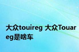 大众touireg 大众Touareg是啥车