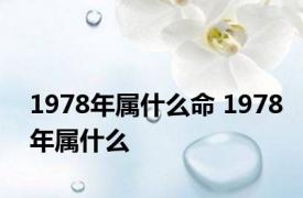 1978年属什么命 1978年属什么