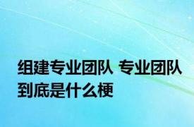 组建专业团队 专业团队到底是什么梗