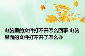 电脑里的文件打不开怎么回事 电脑里面的文件打不开了怎么办