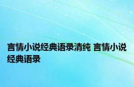 言情小说经典语录清纯 言情小说经典语录