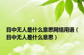 目中无人是什么意思网络用语（目中无人是什么意思）