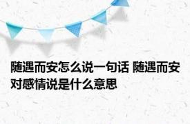 随遇而安怎么说一句话 随遇而安对感情说是什么意思