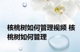 核桃树如何管理视频 核桃树如何管理