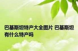 巴基斯坦特产大全图片 巴基斯坦有什么特产吗