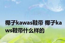 椰子kawas鞋带 椰子kaws鞋带什么样的