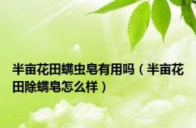 半亩花田螨虫皂有用吗（半亩花田除螨皂怎么样）