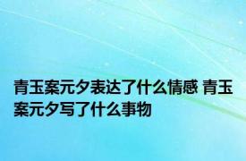 青玉案元夕表达了什么情感 青玉案元夕写了什么事物