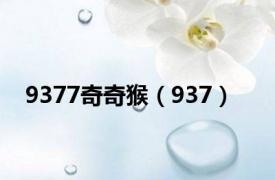 9377奇奇猴（937）