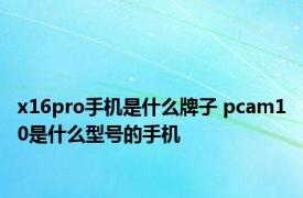 x16pro手机是什么牌子 pcam10是什么型号的手机