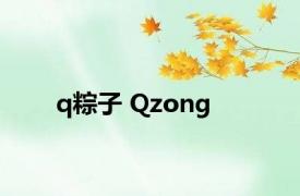 q粽子 Qzong 