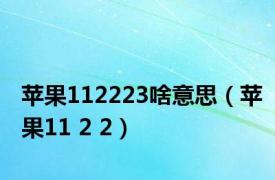 苹果112223啥意思（苹果11 2 2）