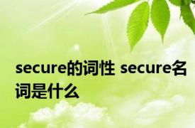 secure的词性 secure名词是什么