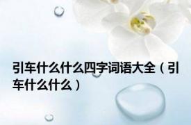 引车什么什么四字词语大全（引车什么什么）