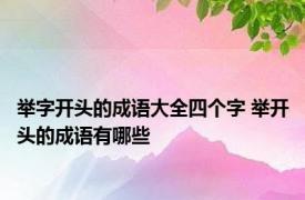 举字开头的成语大全四个字 举开头的成语有哪些