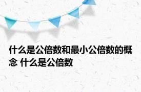 什么是公倍数和最小公倍数的概念 什么是公倍数