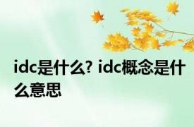 idc是什么? idc概念是什么意思