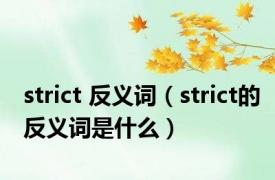 strict 反义词（strict的反义词是什么）