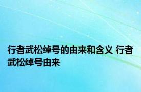 行者武松绰号的由来和含义 行者武松绰号由来