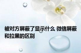 被对方屏蔽了显示什么 微信屏蔽和拉黑的区别