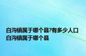 白沟镇属于哪个县?有多少人口 白沟镇属于哪个县