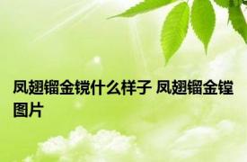 凤翅镏金镋什么样子 凤翅镏金镗图片 