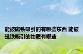 能被磁铁吸引的有哪些东西 能被磁铁吸引的物质有哪些