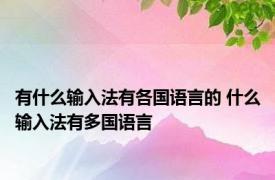 有什么输入法有各国语言的 什么输入法有多国语言