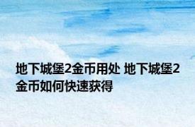 地下城堡2金币用处 地下城堡2金币如何快速获得