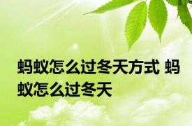 蚂蚁怎么过冬天方式 蚂蚁怎么过冬天