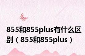 855和855plus有什么区别（855和855plus）