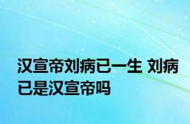 汉宣帝刘病已一生 刘病已是汉宣帝吗