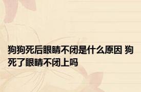 狗狗死后眼睛不闭是什么原因 狗死了眼睛不闭上吗