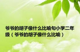 爷爷的胡子像什么比喻句小学二年级（爷爷的胡子像什么比喻）