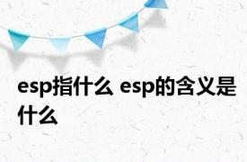 esp指什么 esp的含义是什么