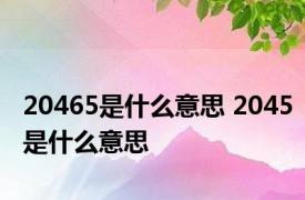 20465是什么意思 2045是什么意思