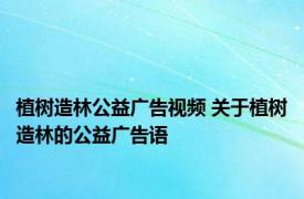 植树造林公益广告视频 关于植树造林的公益广告语