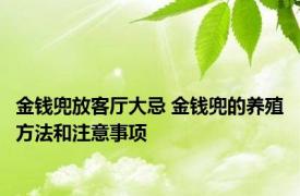 金钱兜放客厅大忌 金钱兜的养殖方法和注意事项