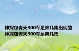 神探包青天300军是第几集出现的 神探包青天300军是第几集