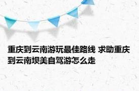 重庆到云南游玩最佳路线 求助重庆到云南坝美自驾游怎么走