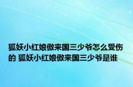 狐妖小红娘傲来国三少爷怎么受伤的 狐妖小红娘傲来国三少爷是谁