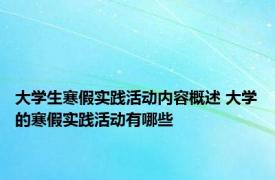 大学生寒假实践活动内容概述 大学的寒假实践活动有哪些