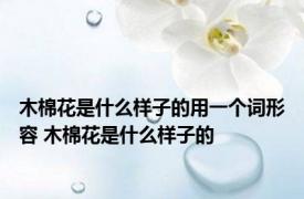 木棉花是什么样子的用一个词形容 木棉花是什么样子的