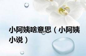 小阿姨啥意思（小阿姨小说）