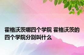 霍格沃茨哪四个学院 霍格沃茨的四个学院分别叫什么