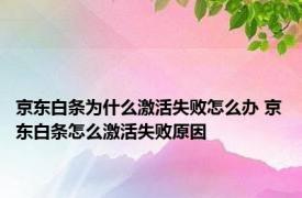 京东白条为什么激活失败怎么办 京东白条怎么激活失败原因